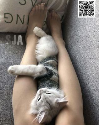 伊人五月在线_BD电影免费在线