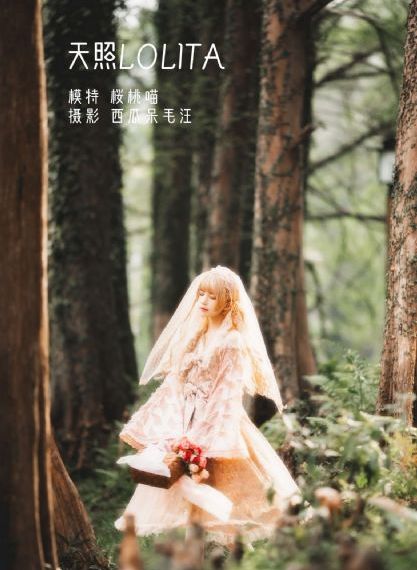全部播放_BD在线视频播放