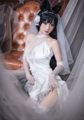 幻乐森林电视剧免费观看完整版_在线观看视频